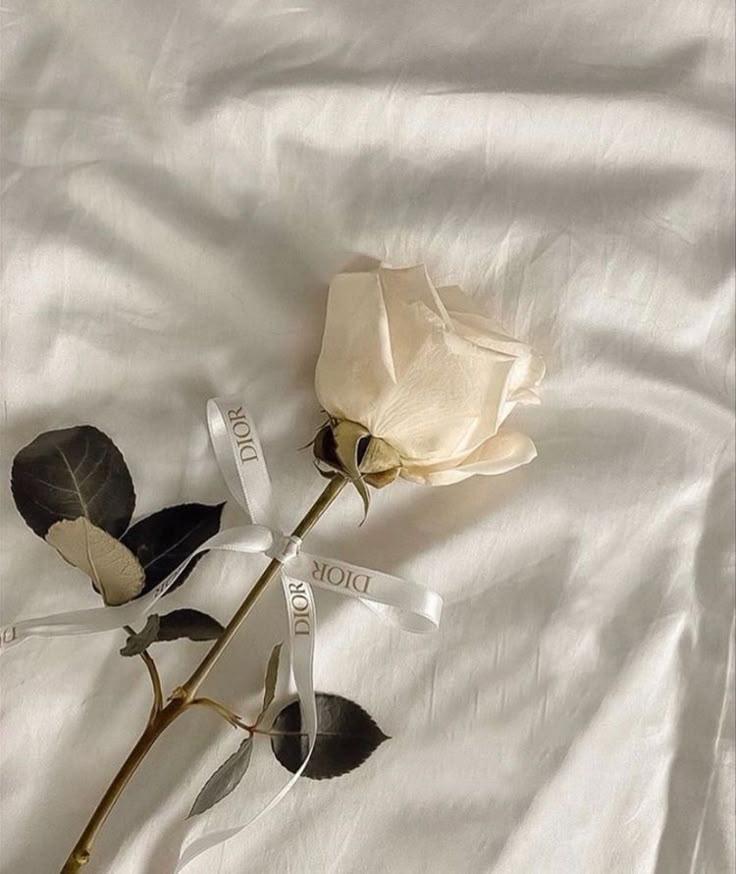 Vintage Blossoms Timeless Allure