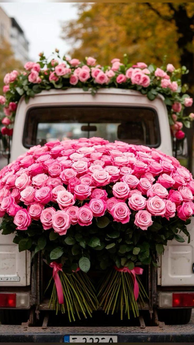 Mystic Meadows Floral Symphony